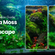 How to Build a Moss Wall Aquascape from Scratch: The Complete Indian Guide