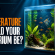 What Temperature Should Your Aquarium Be? Aquarium Products India