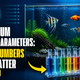 Aquarium Water Parameters: The 7 Numbers That Matter