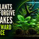 Live Plants That Forgive Mistakes And Reward Patience
