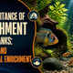 The Importance of Enrichment in Fish Tanks. Aquarium Products India