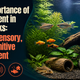 Importance of Social, Sensory, and Cognitive Enrichment in Fish Tanks. Aquarium Products India