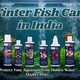 Winter Fish Care in India: Protect Your Aquarium from Hidden Water Quality Risks
