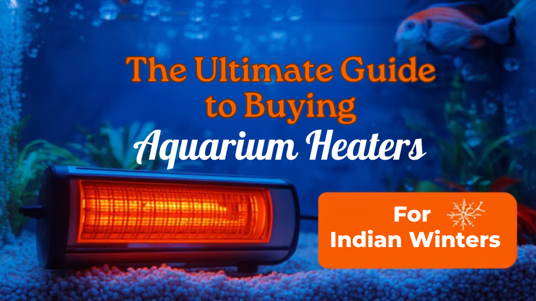 The Ultimate Guide to Buying Aquarium Heaters for Indian Winters