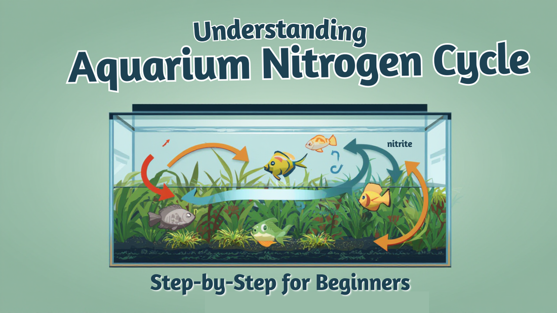 “Understanding Aquarium Nitrogen Cycle: Step-by-Step for Beginners”