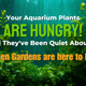 Your Aquarium Plants Are Hungry! And They've Been Quiet About It. - Sunken Garden Fertilizers are here to help.