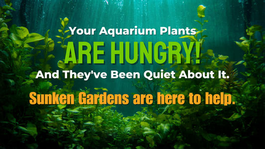 Your Aquarium Plants Are Hungry! And They've Been Quiet About It. - Sunken Garden Fertilizers are here to help.