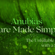 Anubias Plant Aquatic Care Made Simple — The Unkillable Plant with a Soul