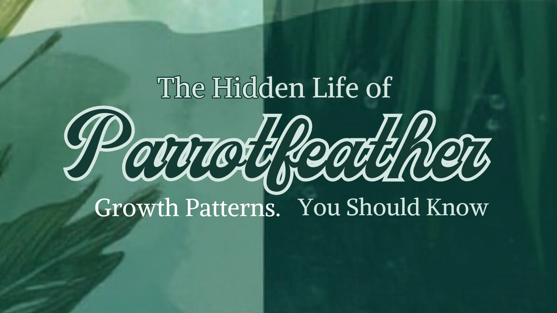The Hidden Life of Parrotfeather: Growth Patterns You Should Know