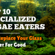Top 10 Specialized Algae Eaters That Replace Your Glass Scraper for Good
