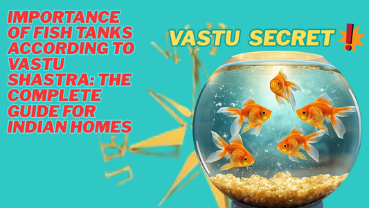 Importance of Fish Tanks According to Vastu Shastra: The Complete Guide for Indian Homes