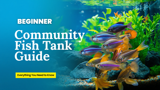 What is a community fish tank and how does it differ from a regular aquarium?