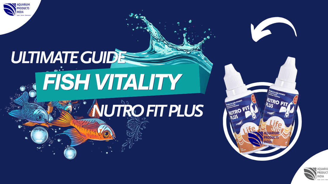 The Ultimate Guide to Fish Vitality: When, How, and Why to Use Life Aayu Nutro Fit Plus
