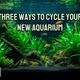 Three Ways to Cycle Your New Aquarium: Part 2 of the Nitrogen Cycle Series