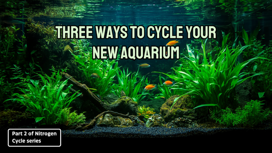 Three Ways to Cycle Your New Aquarium: Part 2 of the Nitrogen Cycle Series
