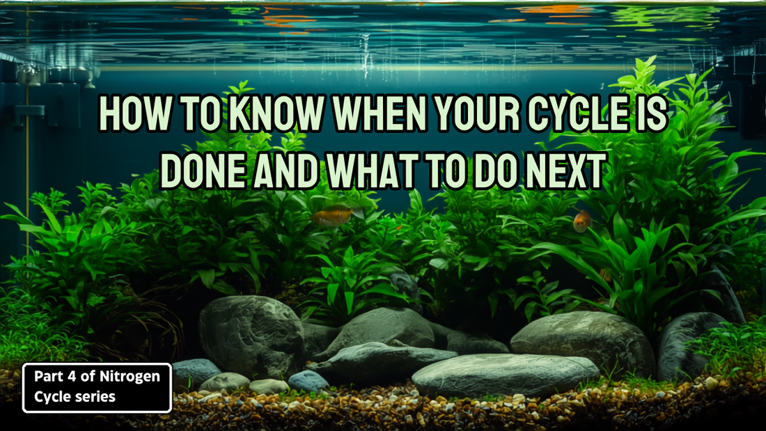 How To Know When Your Cycle Is Done And What To Do Next