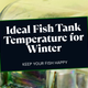 What is the perfect fish tank temperature for indian winters ?