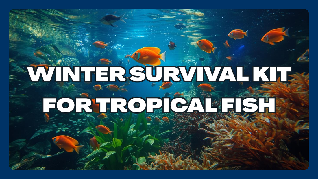 WINTER SURVIVAL KIT FOR TROPICAL FISH IN INDIA