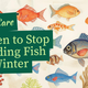 when should i stop feeding my fish in winter? winter feeding mistakes