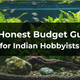 An Honest Budget Guide for Indian Hobbyists at Aquarium Products India