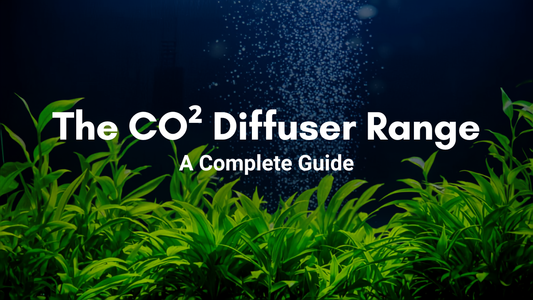 The CO2 Diffuser Range at Aquarium Products India: A Complete Guide