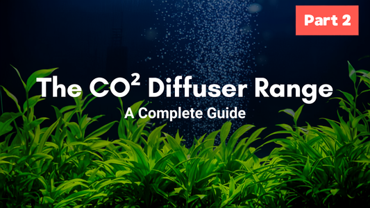 The CO2 Diffuser Range at Aquarium Products India: A Complete Guide - Part 2