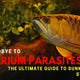 Say Goodbye to Aquarium Parasites: The Ultimate Guide to Sunken Garden Stop Worms