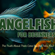 Angelfish Are Not for Beginners? The Truth About Their Care No One Tells You!