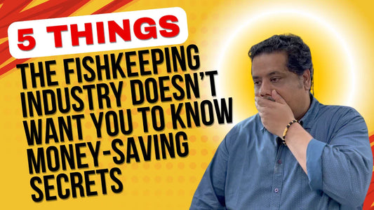 The Fishkeeping Industry Doesn’t Want You to Know These 5 Money-Saving Secrets