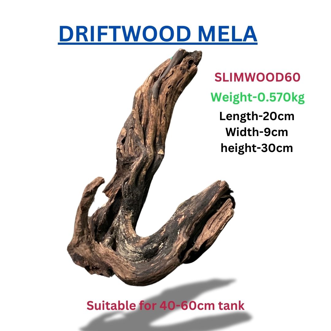 Driftwood SLIMWOOD 60