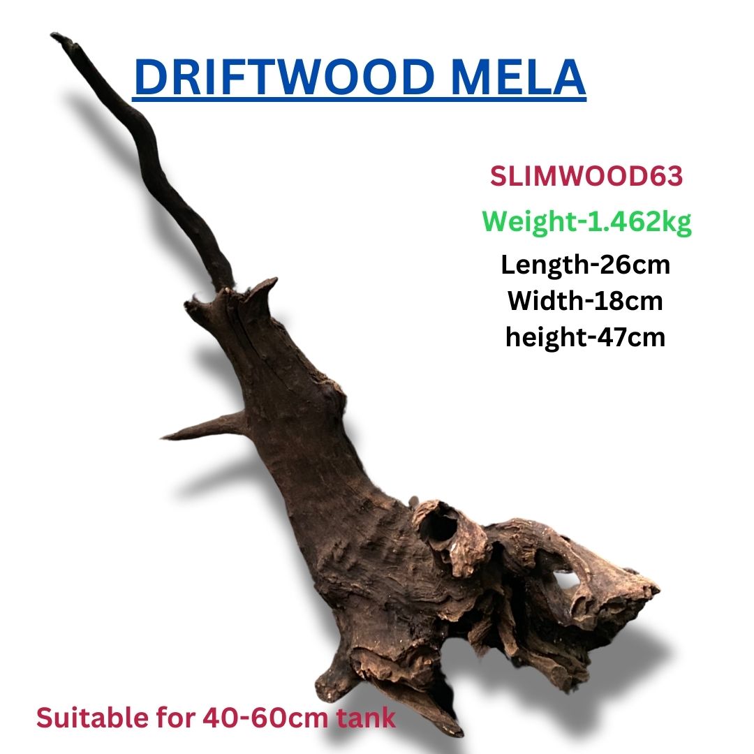 Driftwood SLIMWOOD 63