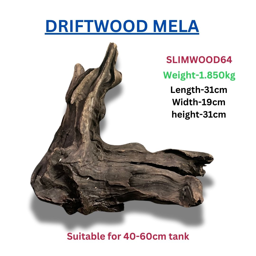 Driftwood SLIMWOOD 64