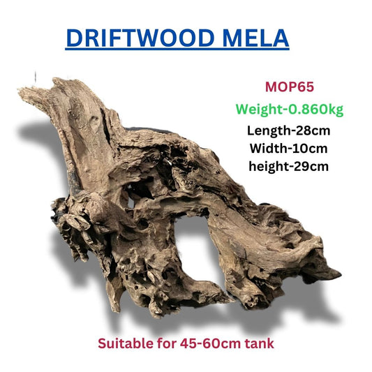 Driftwood MOP65