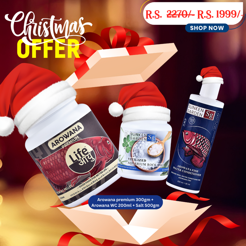 Arowana Premium Christmas Combo – 300g