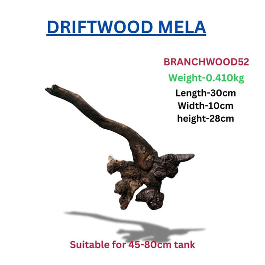 Driftwood Branchwood 52