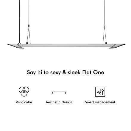 ONF Flat One+ 60cm (BW) - Standard style