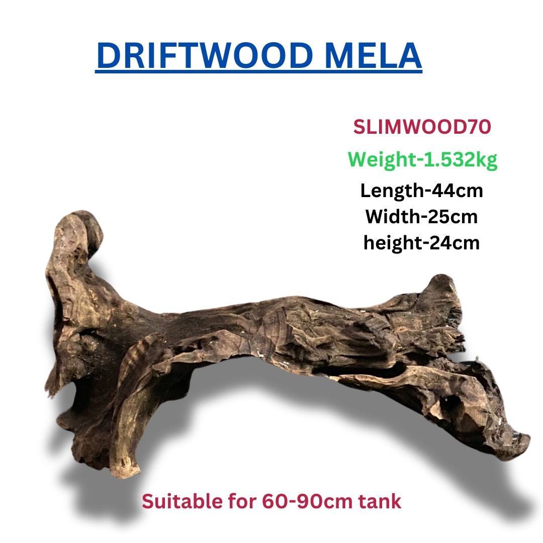 Driftwood SLIMWOOD 70