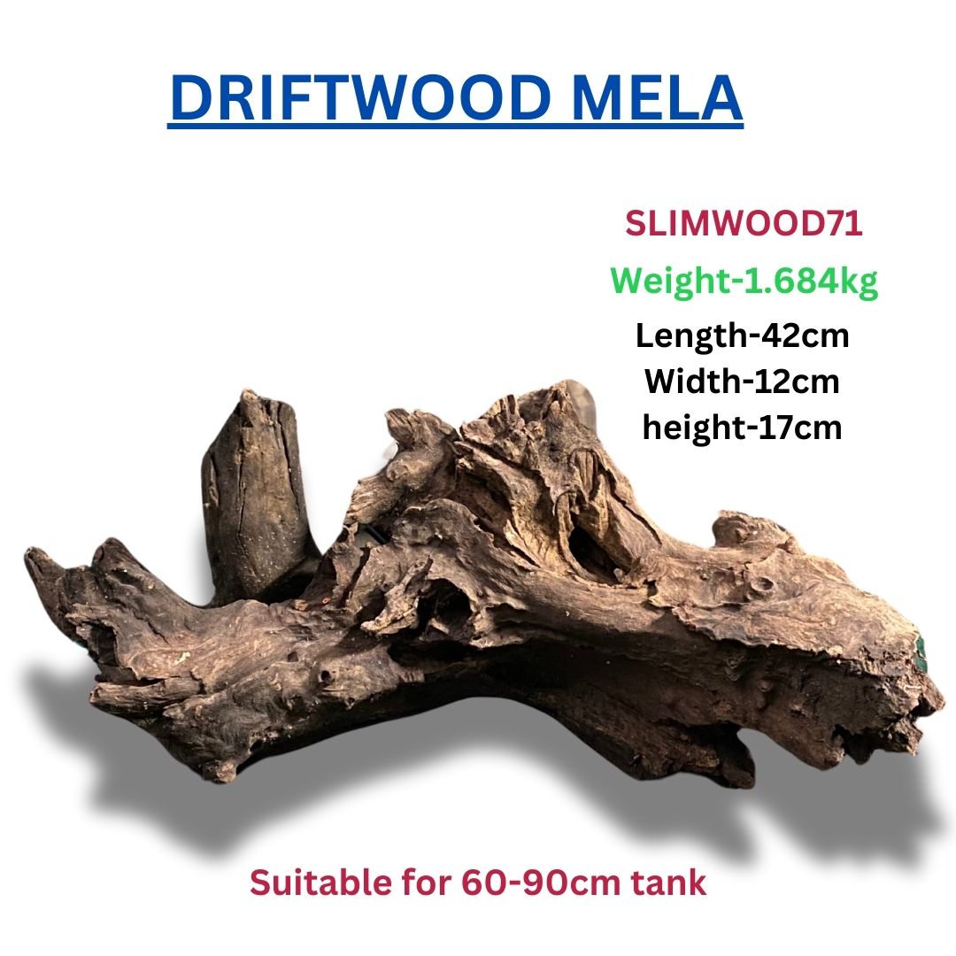 Driftwood SLIMWOOD 71