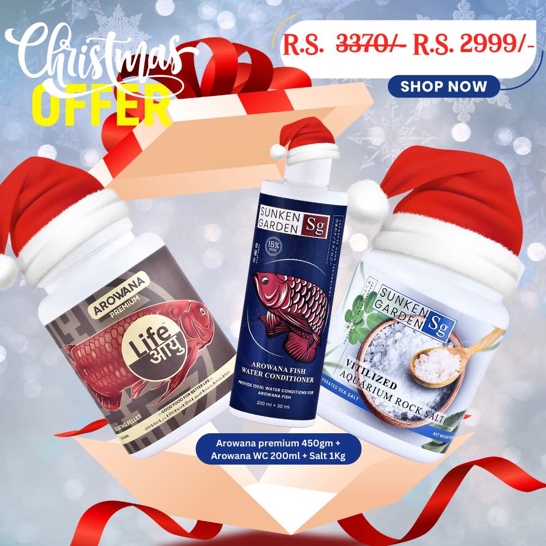 Arowana Premium Christmas Combo – 450g