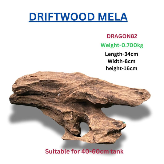 Driftwood DRAGON 82