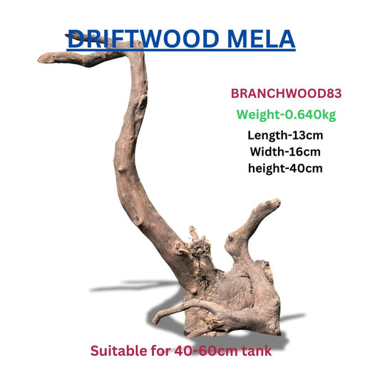 Driftwood BRANCHWOOD 83