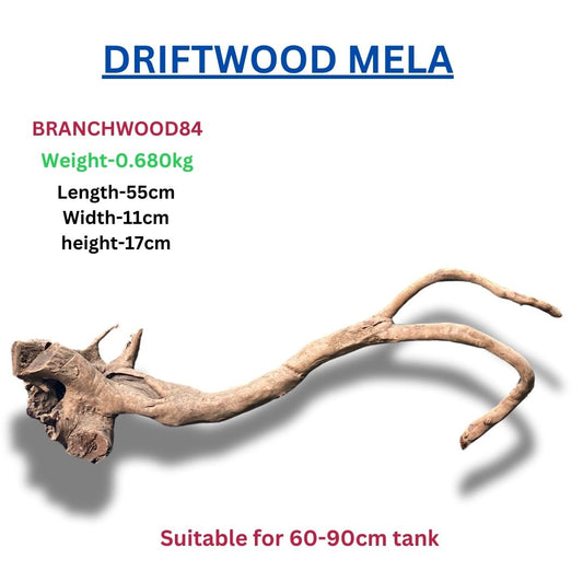 Driftwood BRANCHWOOD 84