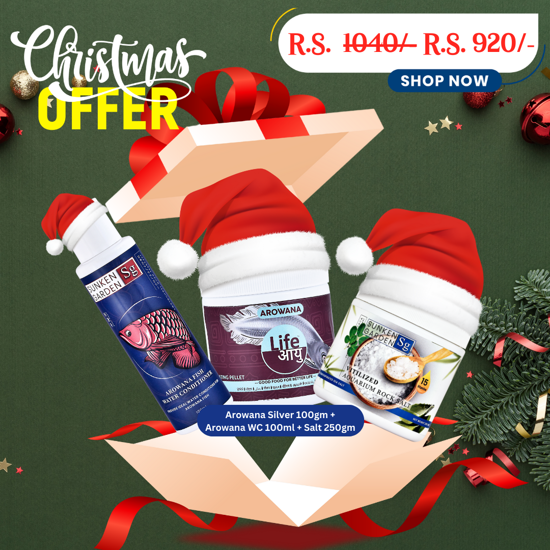 Arowana Silver Christmas Combo – 100g