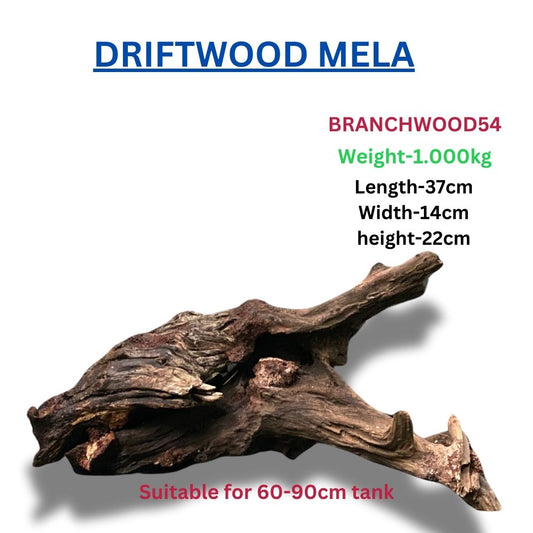 Driftwood Branchwood 54