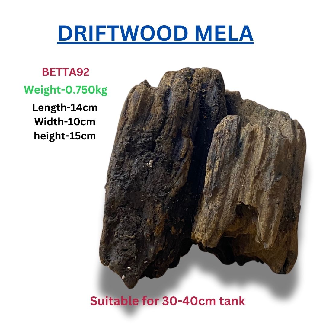 Driftwood BETTA 92