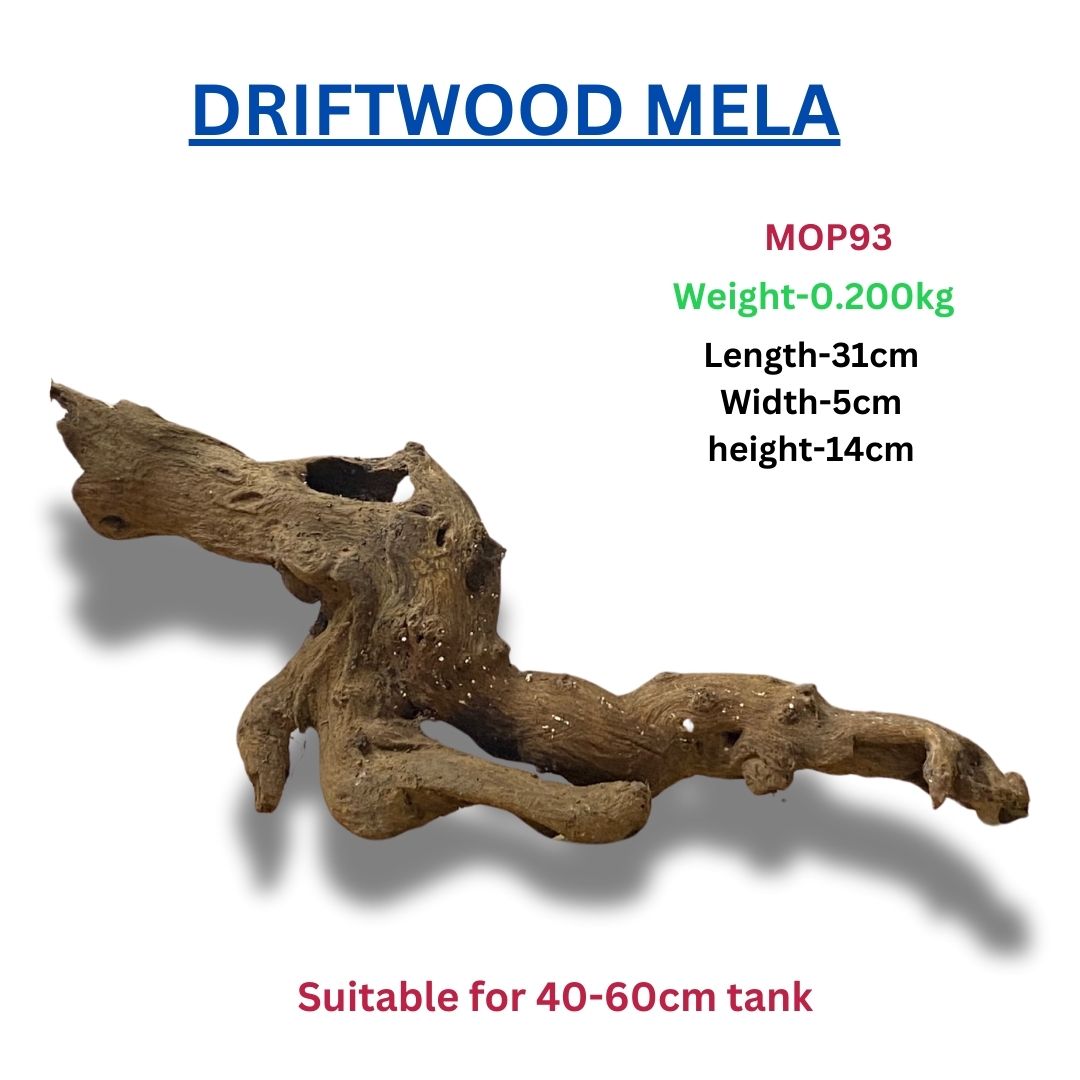 Driftwood MOP93