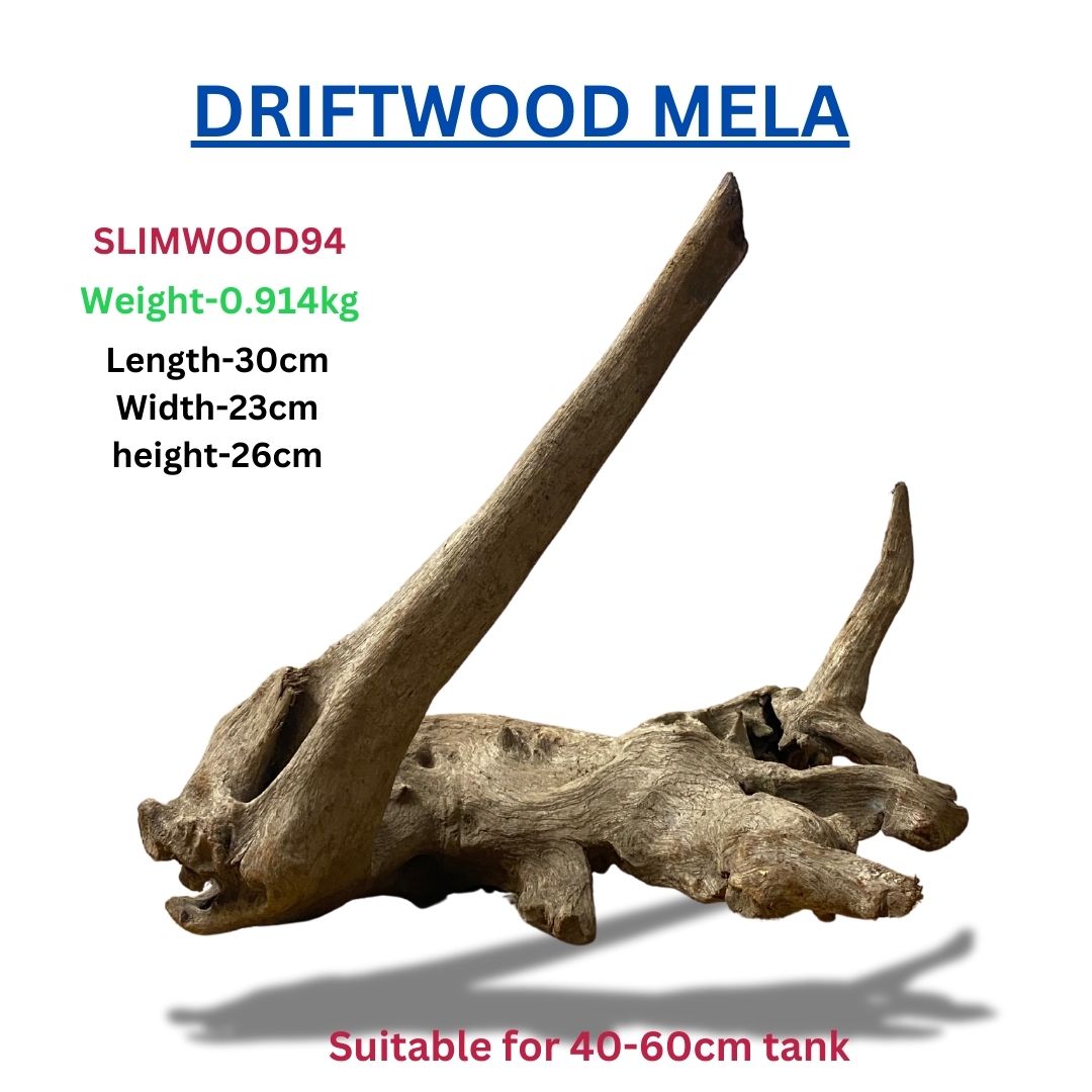 Driftwood SLIMWOOD 94