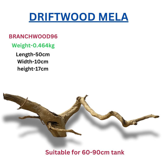 Driftwood BRANCHWOOD 96