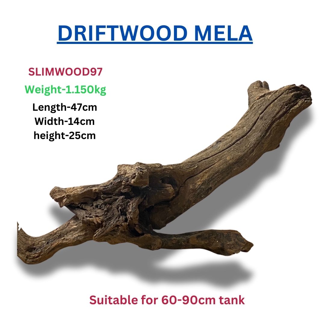 Driftwood SLIMWOOD 97