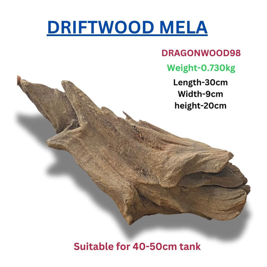 Driftwood DRAGONWOOD 98